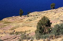 818-Lago Titicaca,isola di Taquile,13 luglio 2013